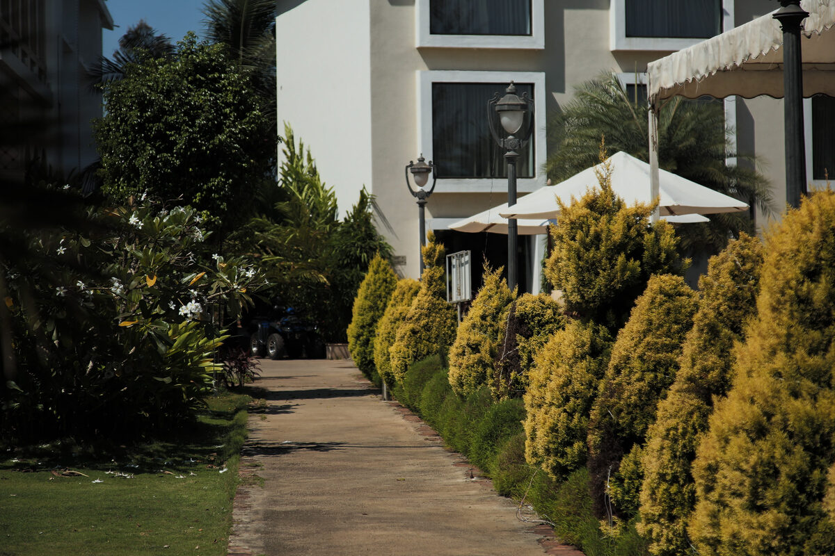 Manicured hedge-lined walking path through UVA Meridian's gardens