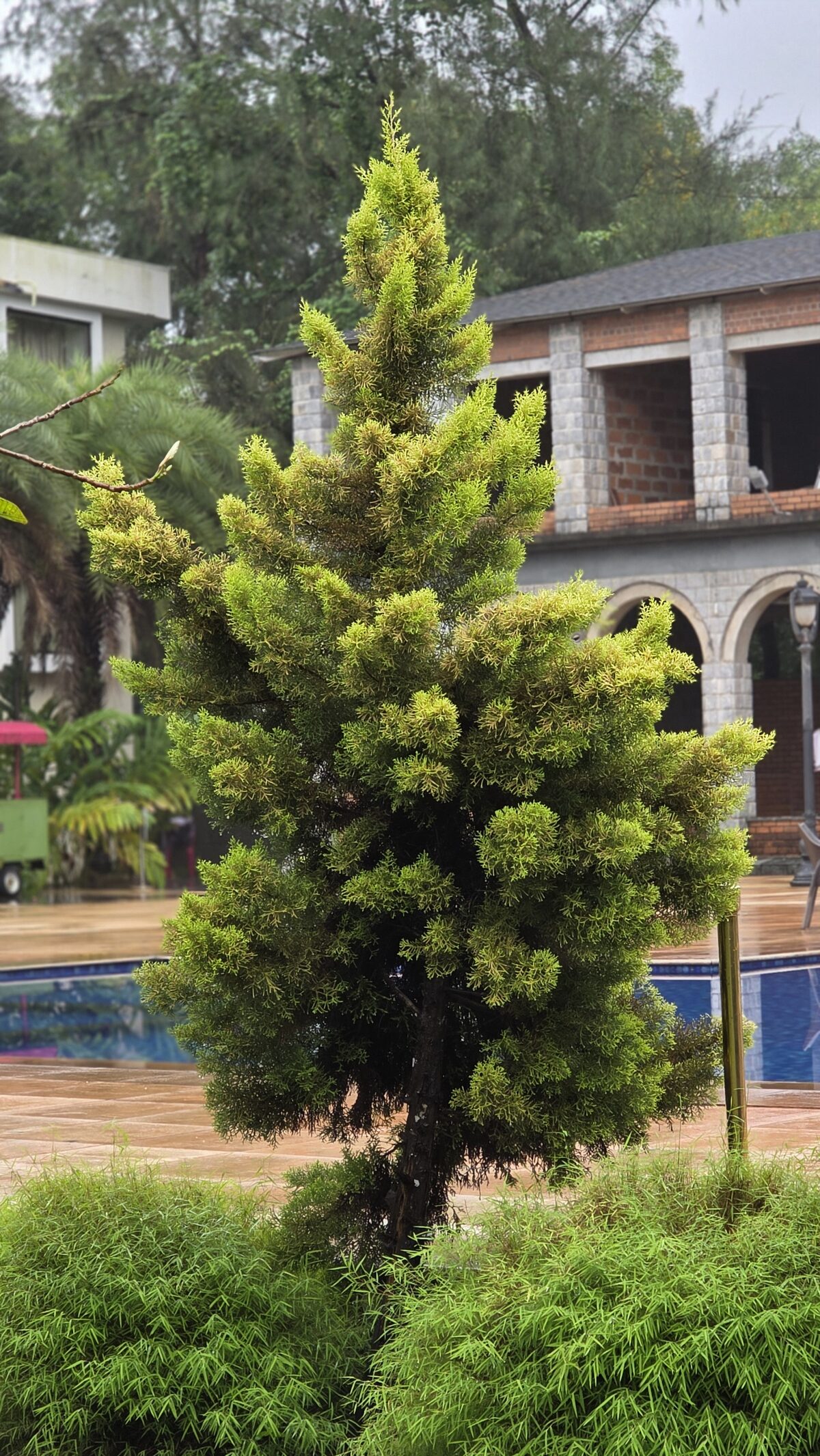 Landscaped topiary garden beside the resort building